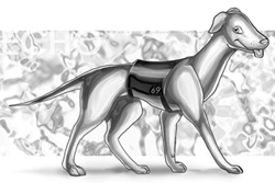 Character Image