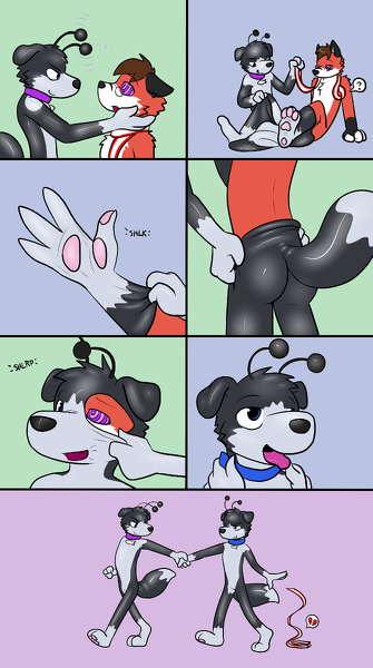 Immy_-_collies.PNG