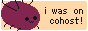 I used to be on Cohost