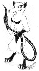 Kattywampus---Dana---AC06