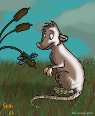 shinypossum