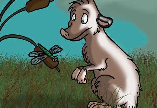 shinypossum (3908 visits) shinypossum