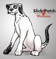 SendSlickPatch
