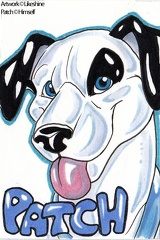 Likeshine - Patch Badge