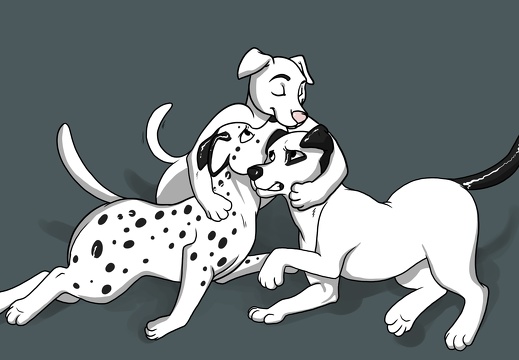Dice-Snow and Patch and Trissie (3695 visits) Dice-Snow and Patch and Trissie