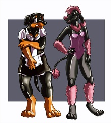 Likeshine - Noir and Cole