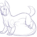Corgeh - Quinn Noms