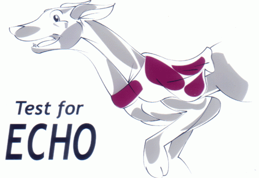 KAF - AC2006 - Echo