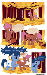 Rook - Maple and Mist 1