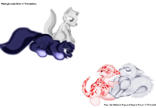 aleri-plushiepups-c (3923 visits) aleri-plushiepups-c