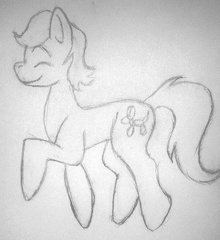 Age - Maple Sketch