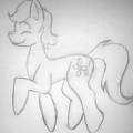 Age - Maple Sketch