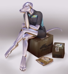 Trunch - Courier Echo