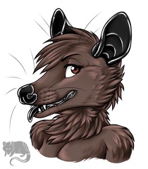 1455298321.neonpossum possumrz