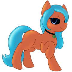 StarStruckSocks-ClarionPone