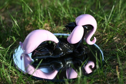 Aufurfoxache-Flutters-5