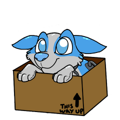 Felis and Sparkles - SkylerBox