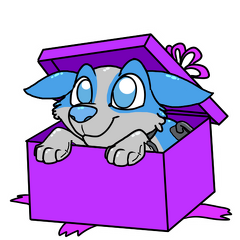 Felis and Sparkles - SkylerGiftBox
