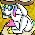 FelisRandomis-Sandwich Ingersoll