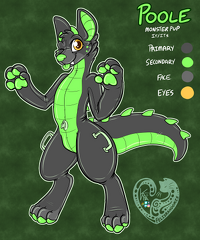 FelisRandomis-Poole Ref