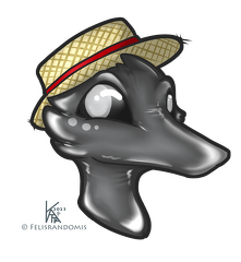 FelisRandomis-Headshot Lily