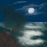 Landscapes I Guess?