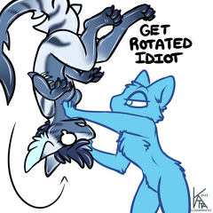 Felis - Get Rotated