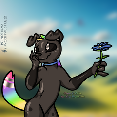 FelisRandomis - Lily Bashful