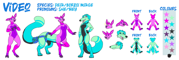 ValyceNegative-VideoRefNorm