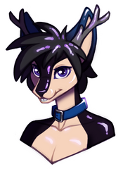 AlexaFim.kooli zakki