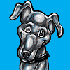 LJ-Arylkia-Animated Echo Icon (4275 visits) LJ-Arylkia-Animated Echo Icon